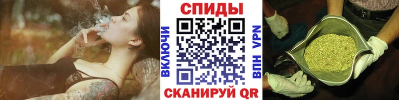 Купить  Чудово  БУТИРАТ Butirat 