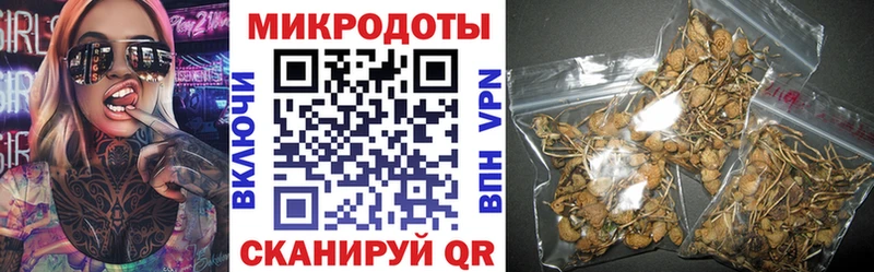 Галлюциногенные грибы Psilocybe  Купить  Чудово 